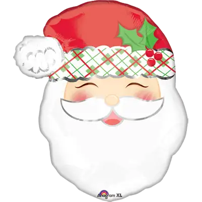 クリスマス サンタ