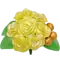 (画像)イエロー