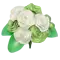 (画像)ホワイト