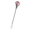 (画像)ピンク