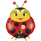 (画像)キュート レディバグ