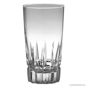 Nコンセプション スキュータム タンブラー 300ml (NC-8010