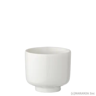 100ml