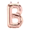 (画像)B