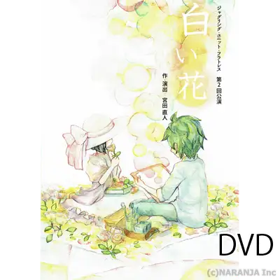 DVD