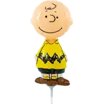 ブロースティック付 PEANUTS(スヌーピー) チャーリーブラウン フルボディ