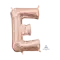 (画像)E