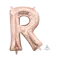 (画像)R