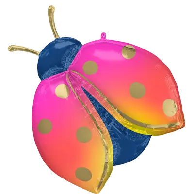 カラフル レディバグ