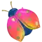 (画像)カラフル レディバグ