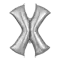(画像)X