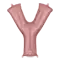 (画像)Y