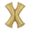 (画像)X