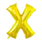 (画像)X