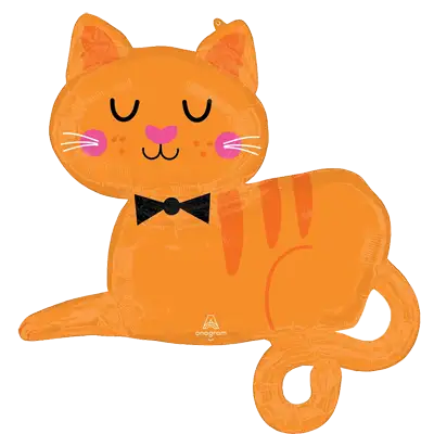 オレンジ タビー キャット