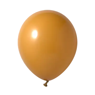 キャメル