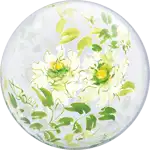 デコバブル 白薔薇