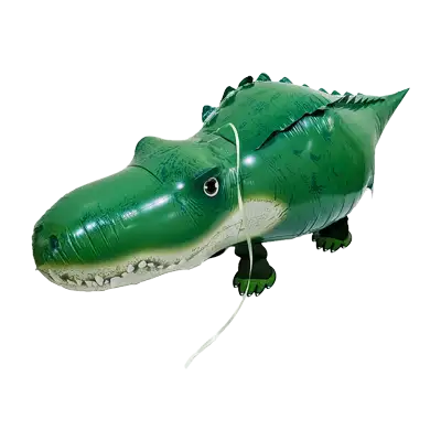 お散歩 ワニくん