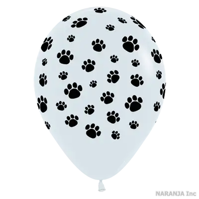 センペルテックス ラウンド 12インチ パウプリント ホワイト