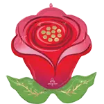 センディング フラワーズ ローズ