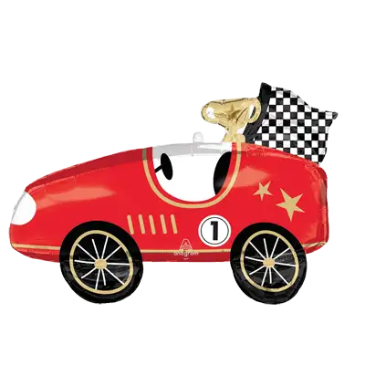レース カーズ