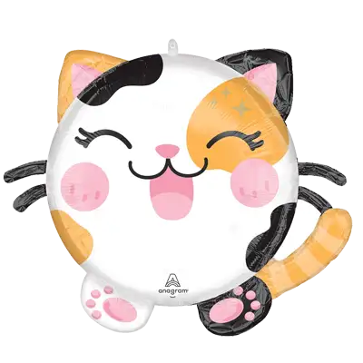 カワイイ キティ