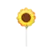 (画像)サンフラワー グロー ミニシェイプ
