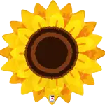 オータム サンフラワー