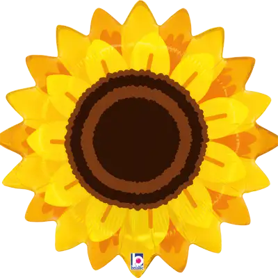 オータム サンフラワー