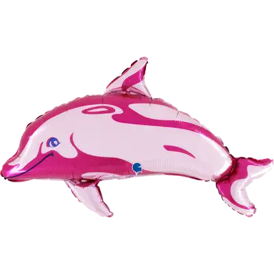 ドルフィン フューシャ 34インチ