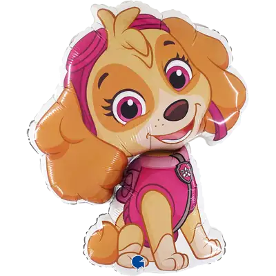 パウパトロール スカイ 24インチ