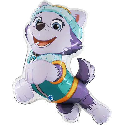 パウパトロール エベレスト 28インチ