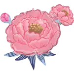 サテン ピオニー ガーデン