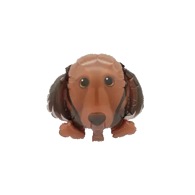 ダックスレッド