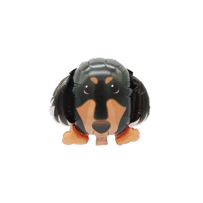 ダックスブラックタン