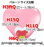 Qualatex Heart Sizes