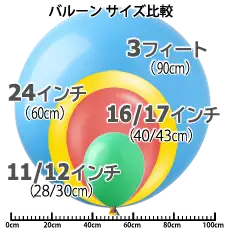 サイズ比較(5インチ - 3フィート)