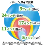 サイズ比較(5インチ-3フィート)