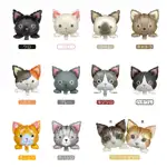 ミニ にゃんこ バルーン
