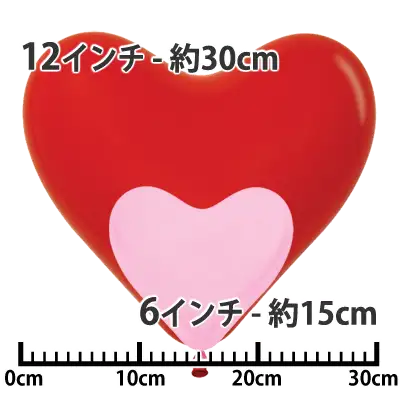 センペルテックス ハート サイズ比較