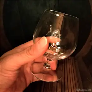 サイズ感