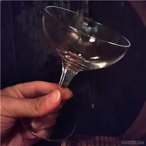 サイズ感