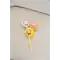 (画像)ラインアップ