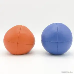 プロとプロ ライトの比較(左がプロ ライト)