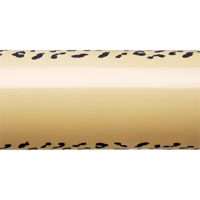 側面図