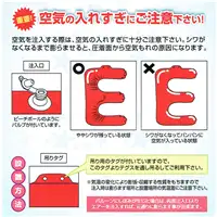 インストラクション