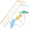 (画像)キャンペーンセット内容