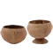 (画像)ココナッツカップシリーズ