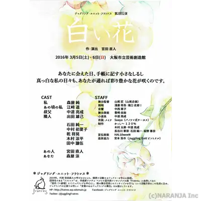 背面