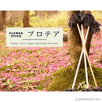 イメージ画像1